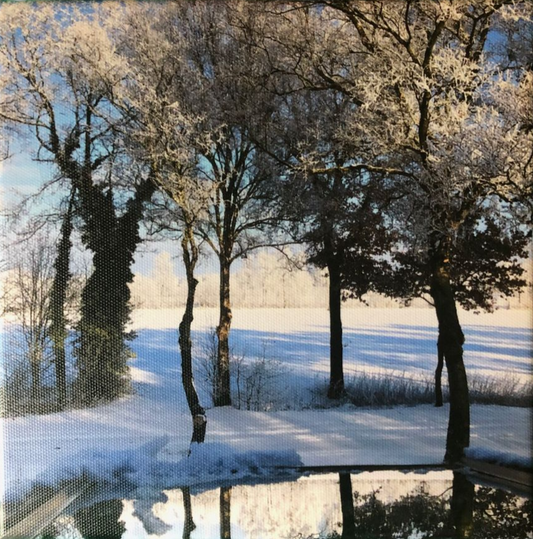 Winterlandschaft