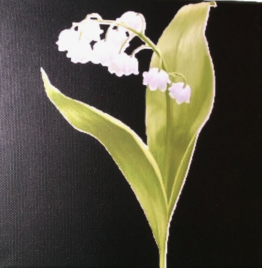 Maiglöckchen / Lily of the valley
